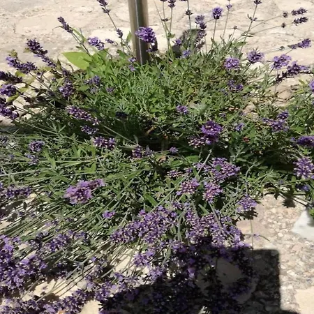 Casa de Férias In Drni With Pool & Etnoland *