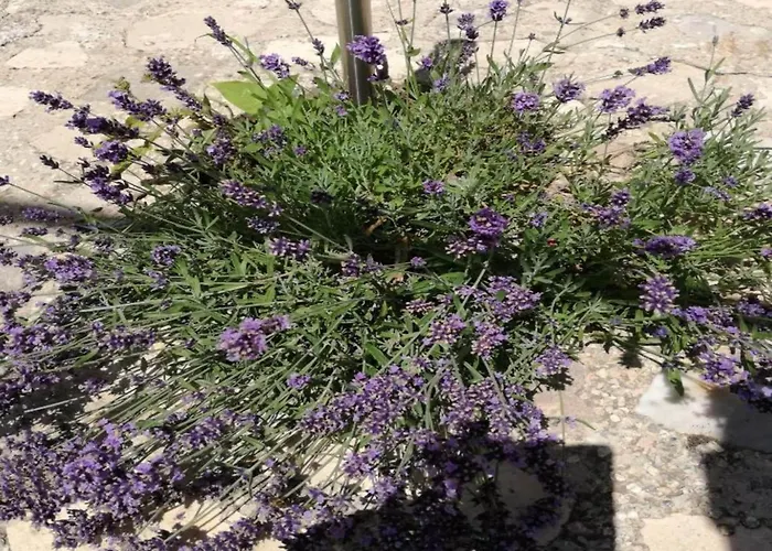 Дом отдыха In Drni With Pool & Etnoland *